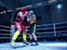 dayofthefight2018_055