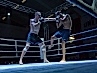dayofthefight2018_203