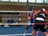 boxen-teterow-04-10-14