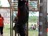 tough-mudder-2014-75